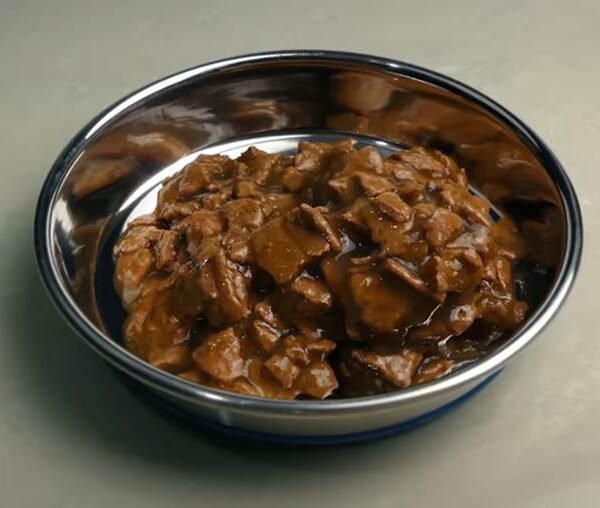 Cooked Beef Liver for Cats: Benefits, Risks, and Proper Feeding Guide