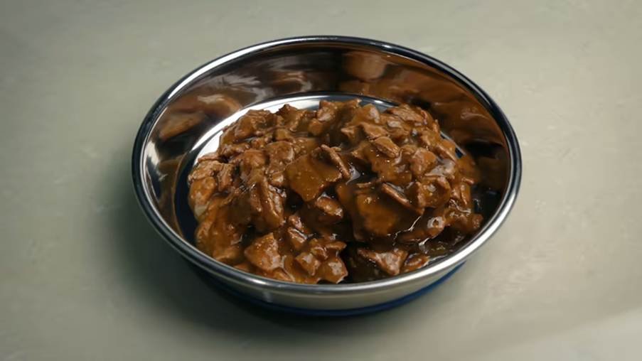 Cooked Beef Liver for Cats: Benefits, Risks, and Proper Feeding Guide